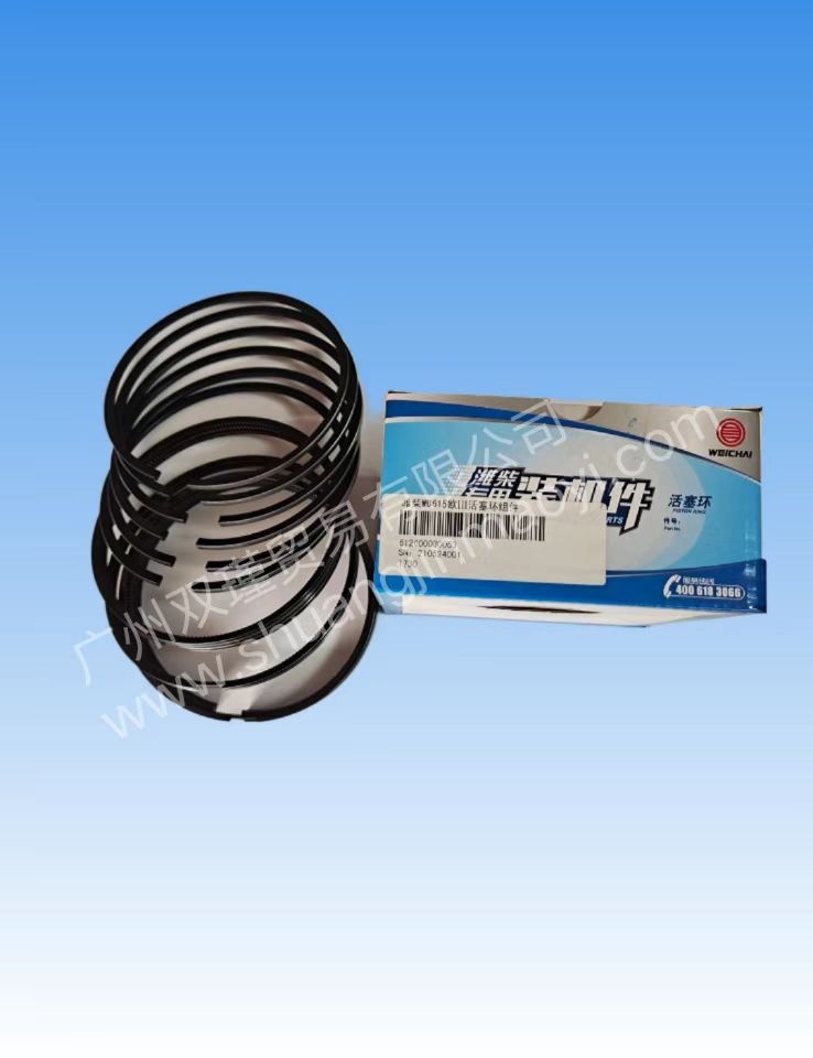 612600030053 piston ring